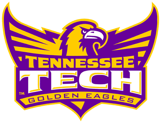 Tennessee Tech Golden Eagles 2006-Pres Alternate Logo v5 iron on transfers for fabric